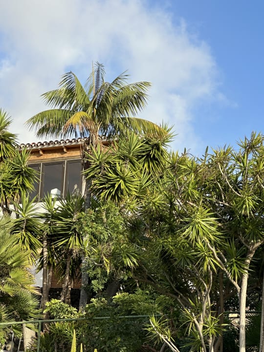 Gartenanlage Jardin Mariposa Retreat- und Seminarzentrum