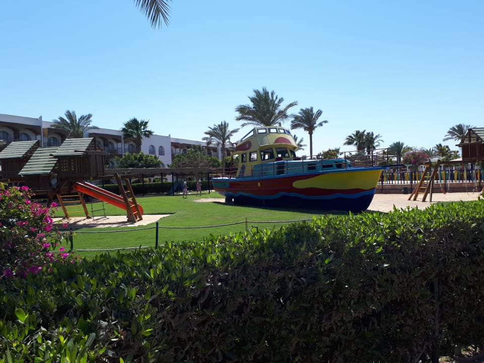 Sport & Freizeit Desert Rose