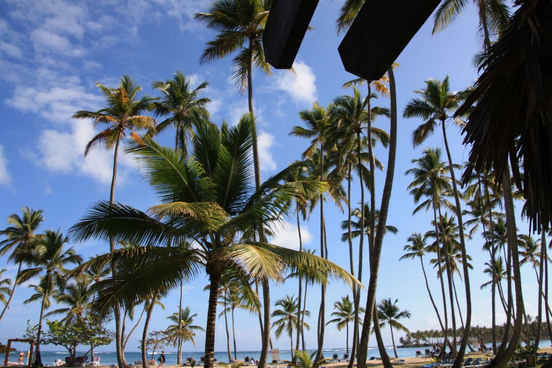 Strand Wyndham Alltra Samana