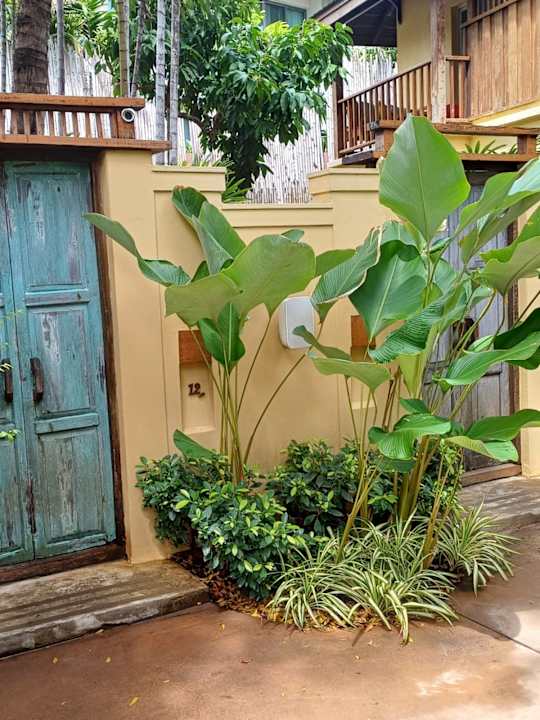 Gartenanlage Buri Rasa Village Samui Adults Only Resort