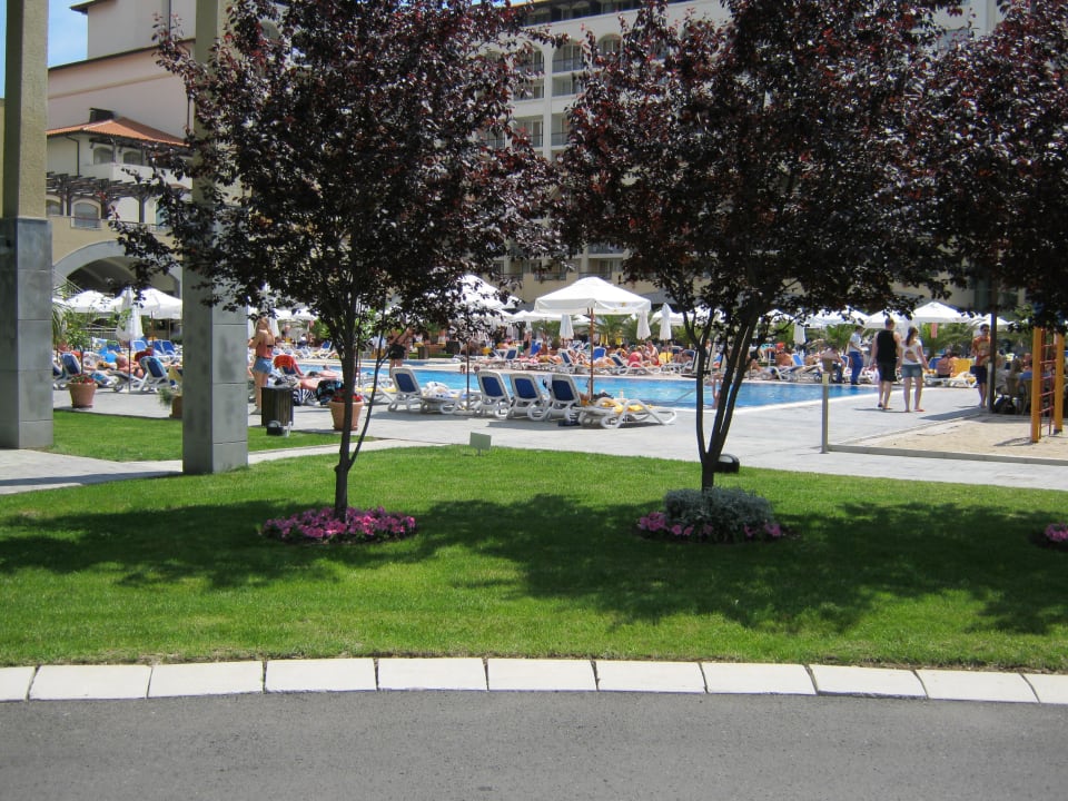 Blick vom Eingang auf den Pool Meliá Sunny Beach