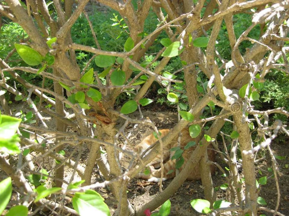 Suchbild Hotel El Mouradi Port El Kantaoui