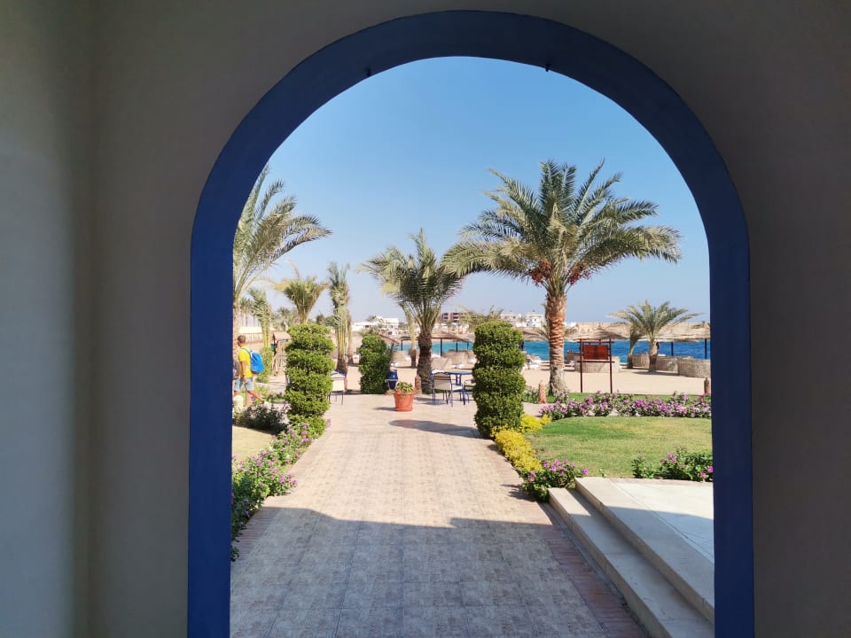 Gartenanlage Coral Sun Beach