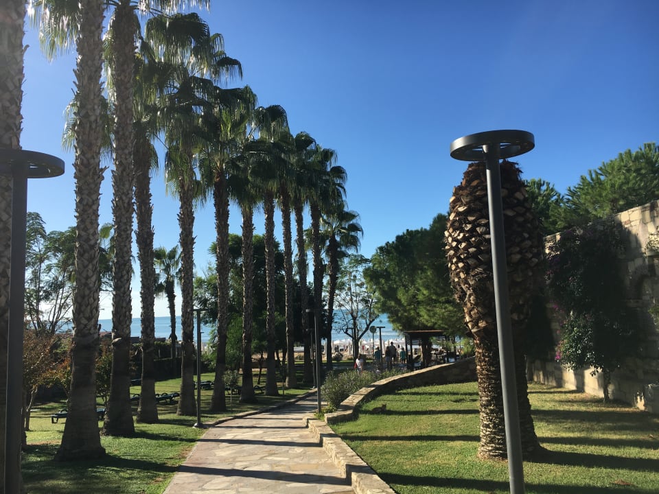 Gartenanlage Arum Barut Collection