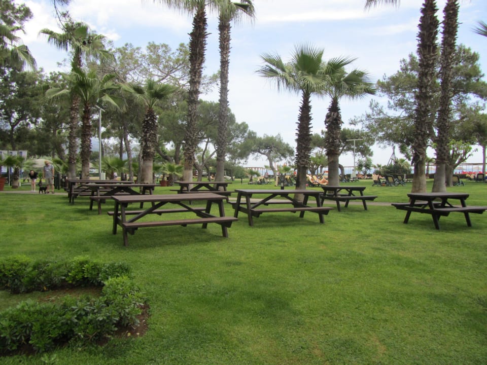 Paloma Renaissance Antalya Beach Resort & SPA Balmy Foresta