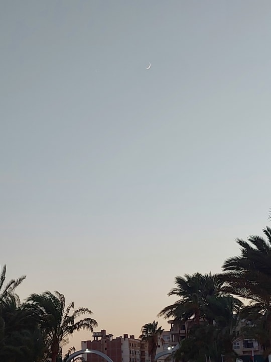 Außenansicht Arabia Azur Resort