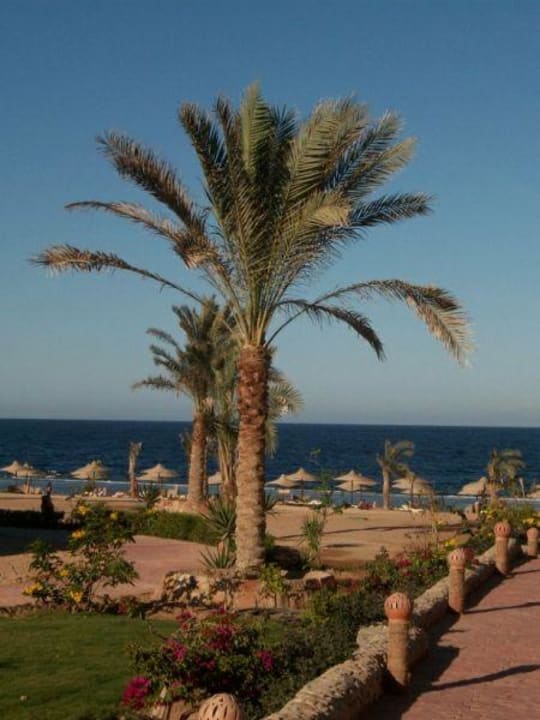 Gartenanlage Three Corners Sea Beach Resort