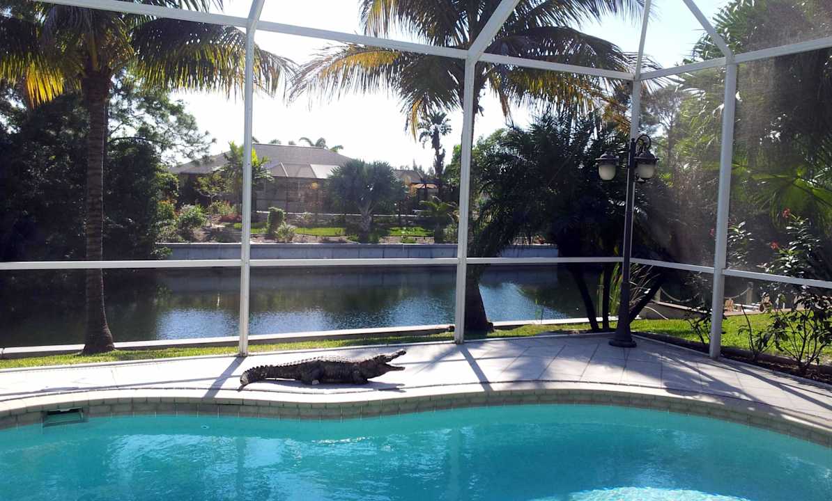 Ein Januar-Morgen am Pool Villa Ibis