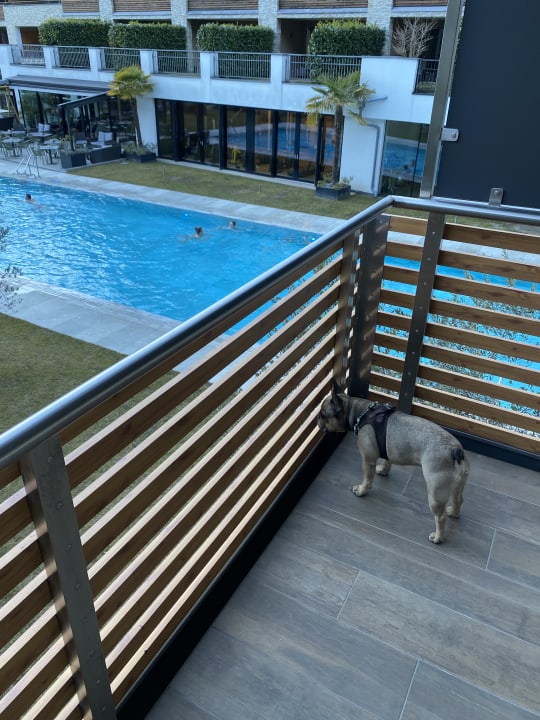 Pool STROBLHOF Active Family SPA Resort