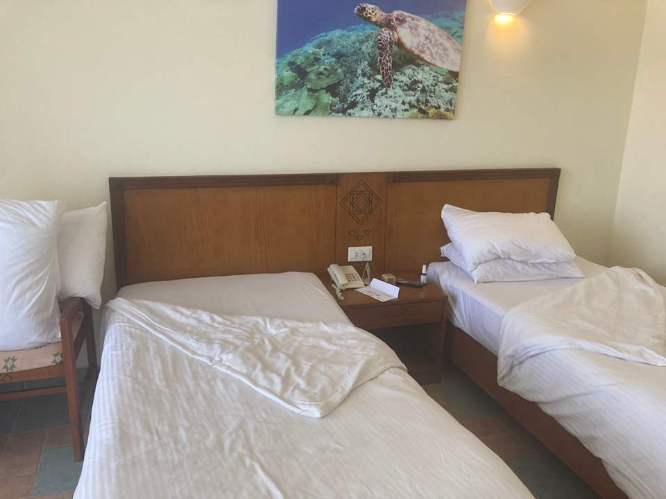 Zimmer Three Corners Equinox Beach Resort