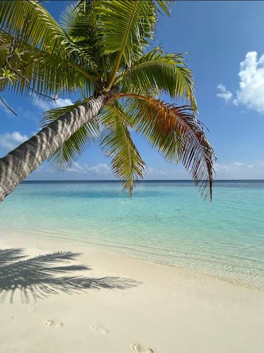 Strand Safari Island Maldives