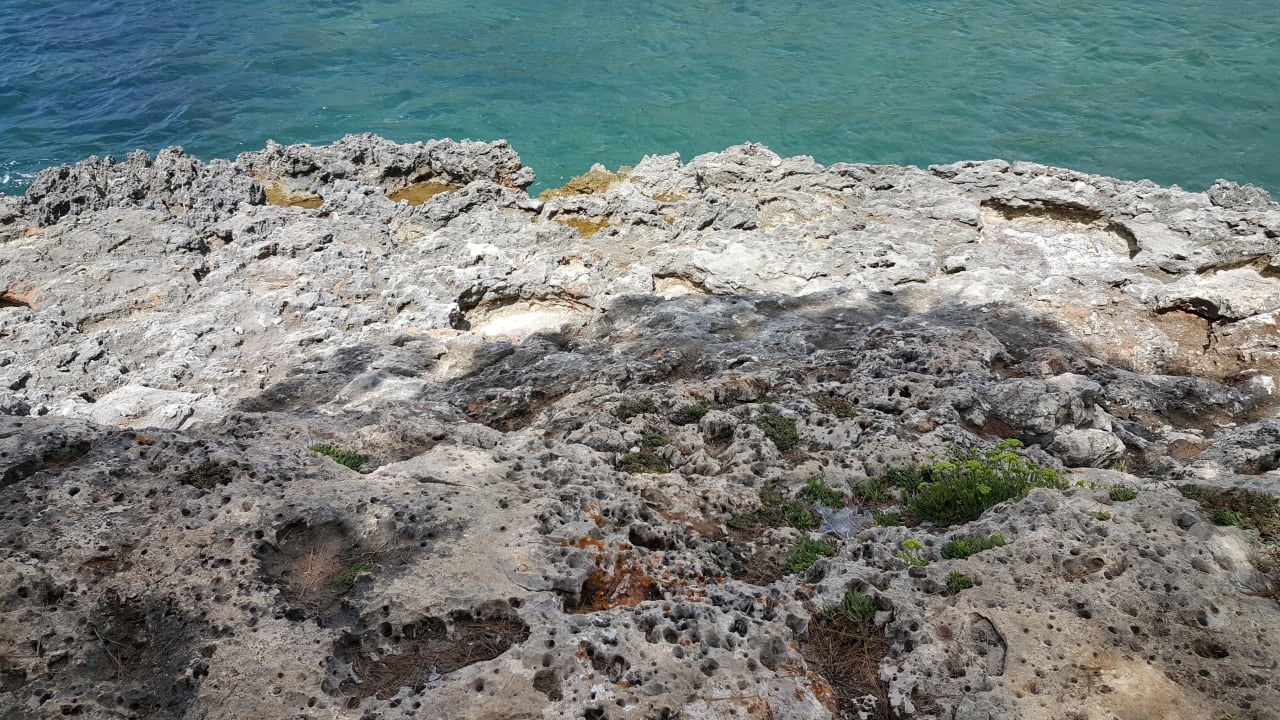 Strand Iberostar Waves Club Cala Barca