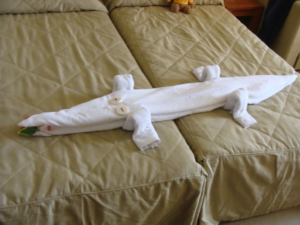 Soviel kann man aus Handtüchern machen Sol Luna Bay