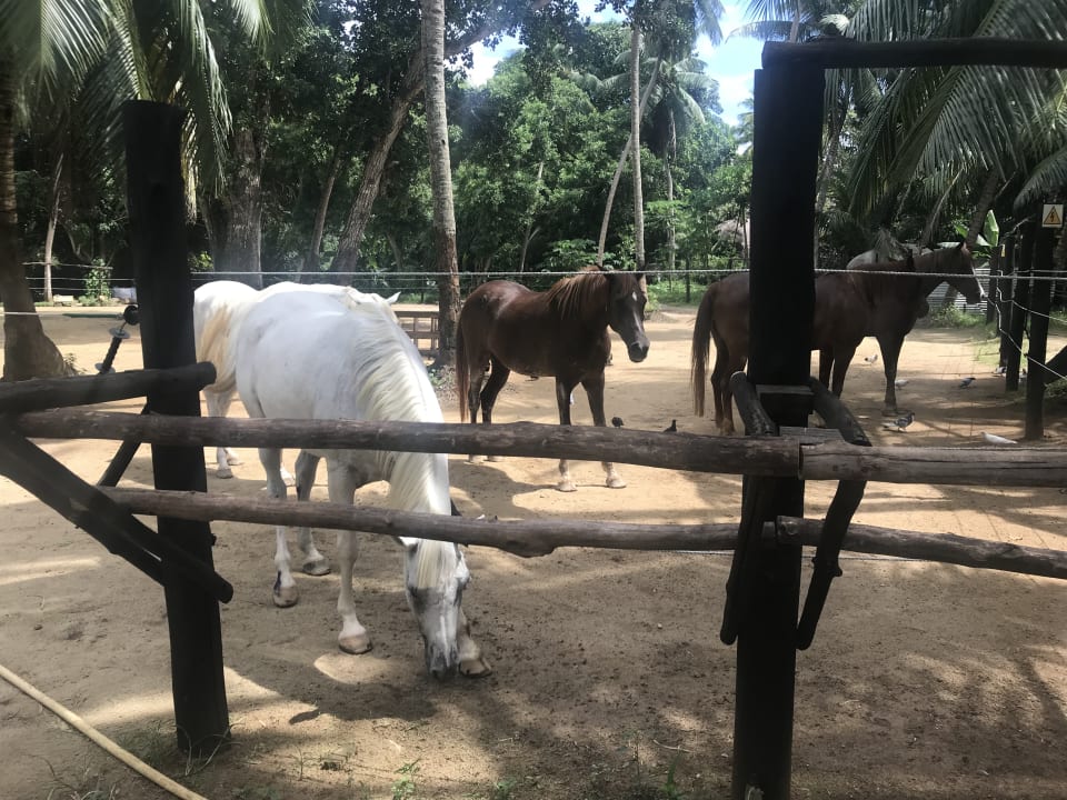 Sport & Freizeit Kempinski Seychelles Resort