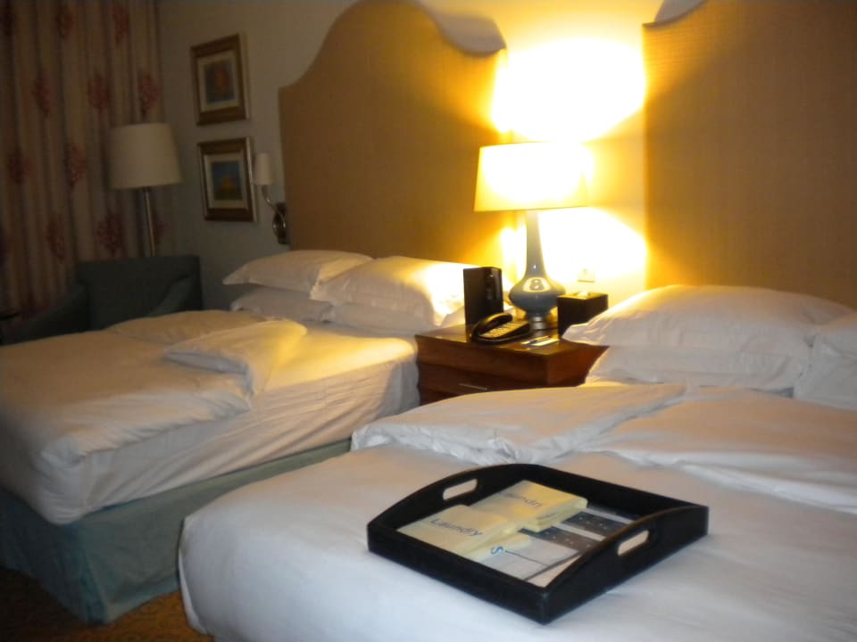 Deluxe DZ Atlantis, The Palm