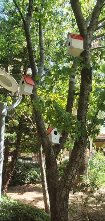 Gartenanlage Hane Family Resort