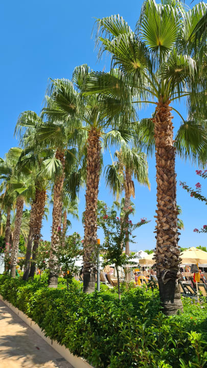 Gartenanlage Hane Family Resort