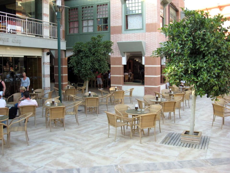 Der Stern des Mega Saray Hotels Megasaray Club Belek