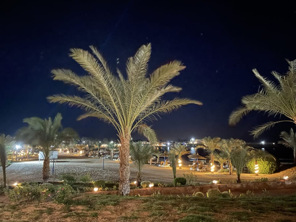 Gartenanlage Coral Sun Beach