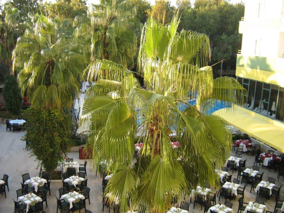 Ausblick vom Balkon aufs Haupt-Restaurant Botanik Hotel & Resort