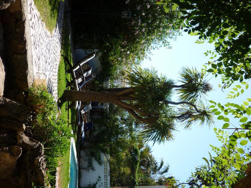 Der Blick von unserer Terrasse auf die Poolanlage Hotel A Beira Sol