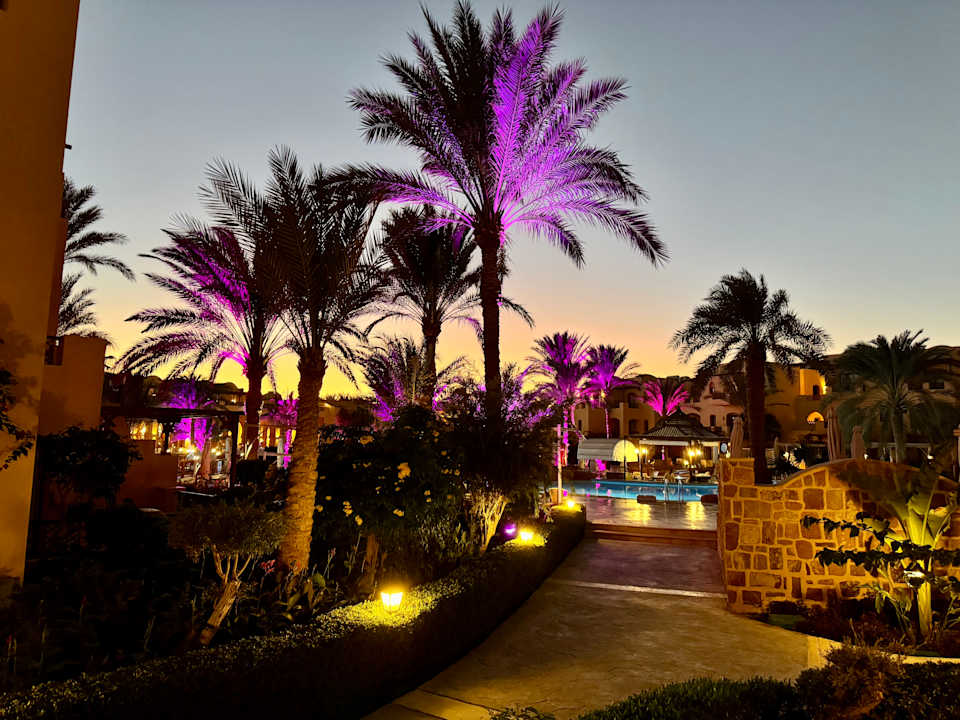 Gartenanlage Steigenberger Coraya Beach - Adults only