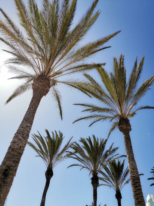 Pool R2 Pajara Beach