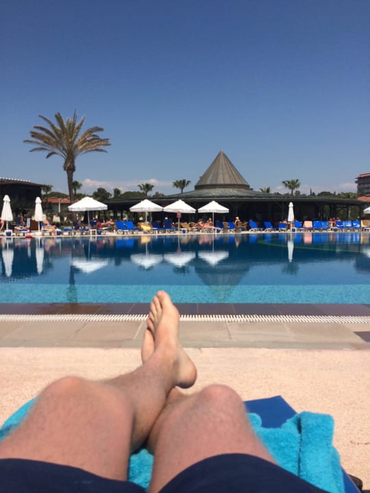 Pool  Papillon Belvil