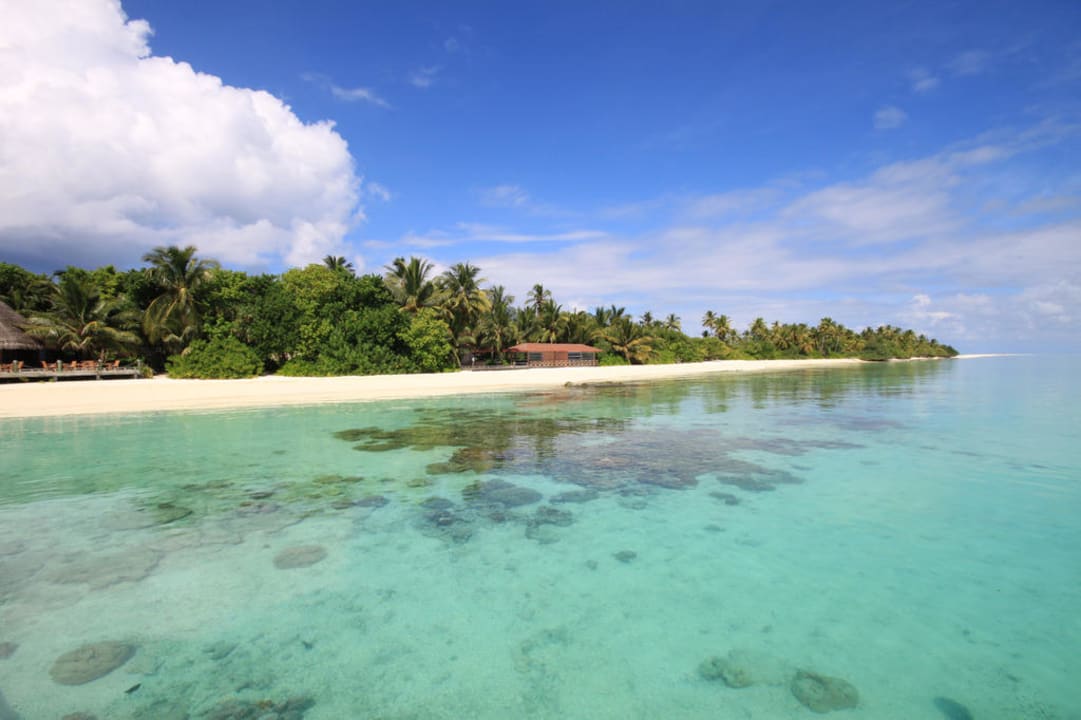 Blick vom Bootsteg aus Kuramathi Maldives