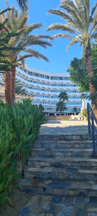 Gartenanlage Crystal Springs Beach Hotel