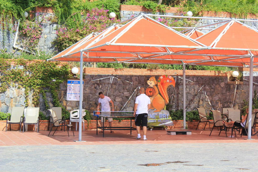 Hotel Hotel Pine Bay Holiday Resort