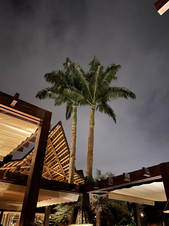 Gastro Lopesan Baobab Resort