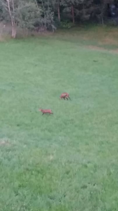 Gemsengruss Zeit & Traum  Hotel