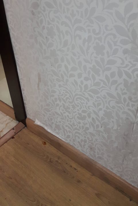 Zimmer 302 Hotel Clarks Inn