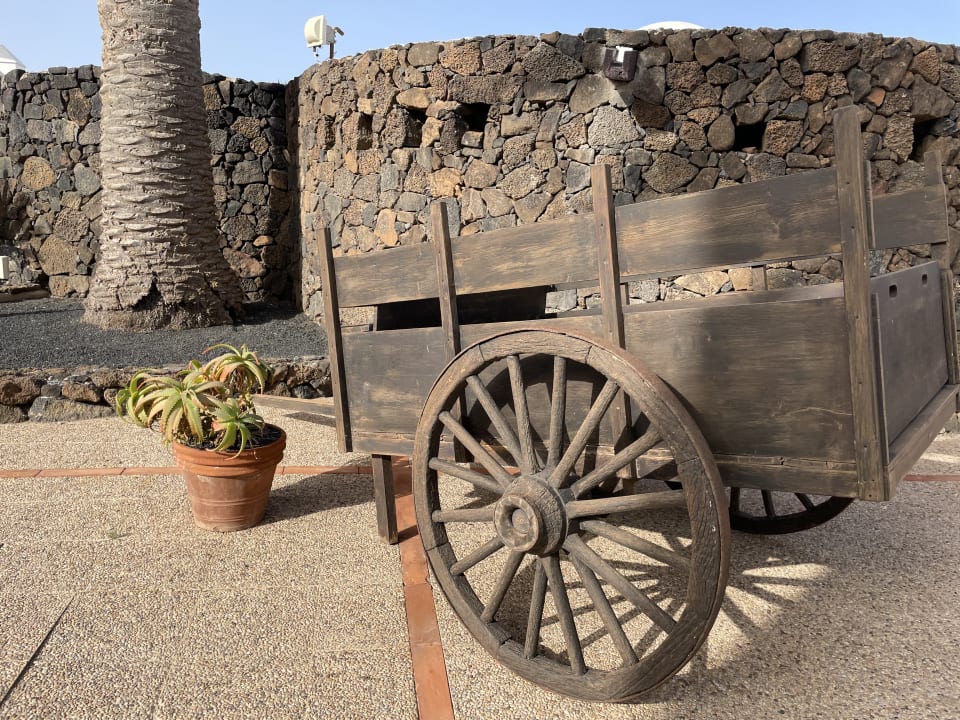 Gartenanlage Paradisus by Meliá Salinas Lanzarote
