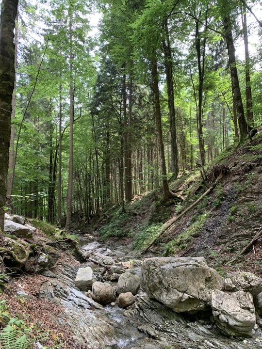 Außenansicht Haus Waldwinkel Ferienwohnungen