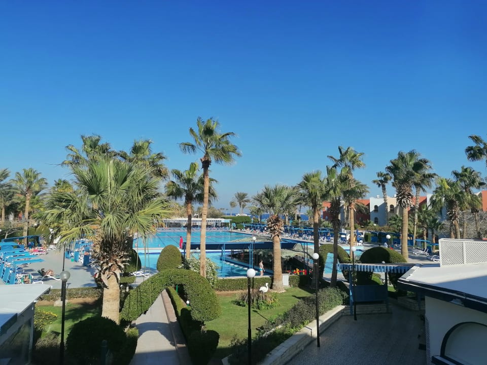 Pool Arabia Azur Resort