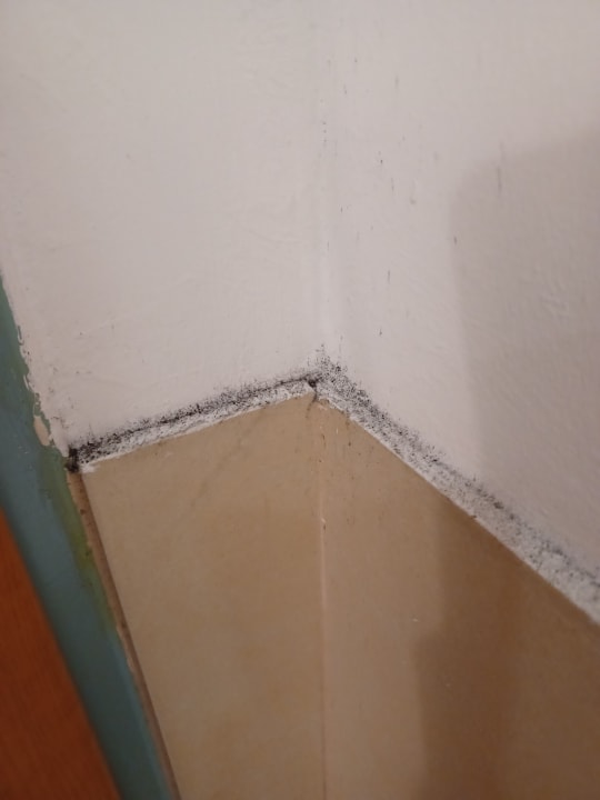 Zimmer Hotel Kiel by Golden Tulip