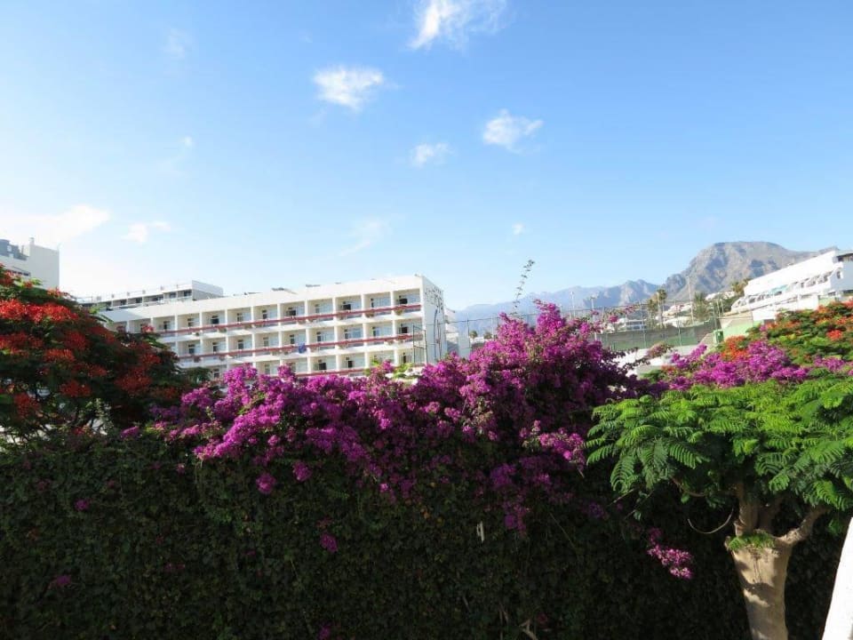 Blick vom Balkon  Alexandre Hotel Gala