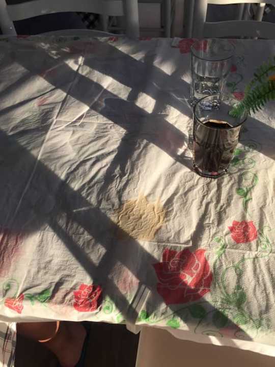 Brud od rana Rinia 2