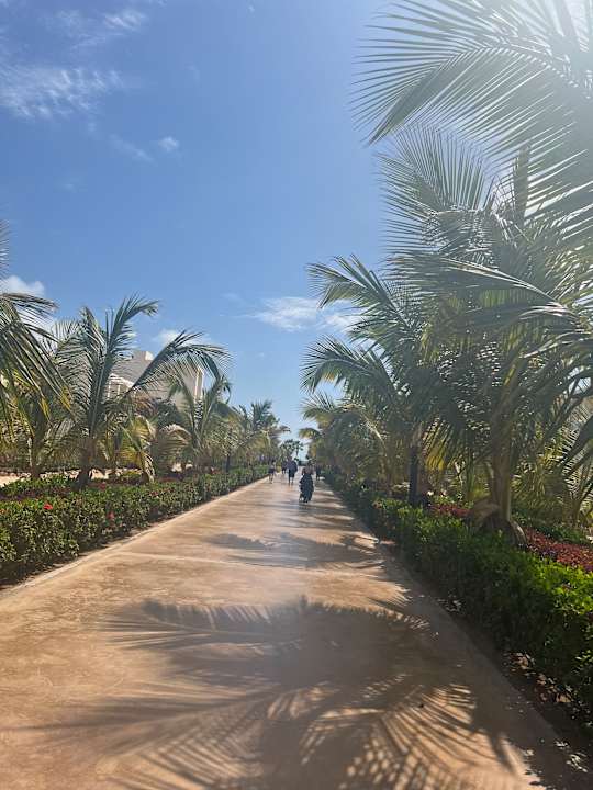 Gartenanlage Hotel Riu Palace Santa Maria