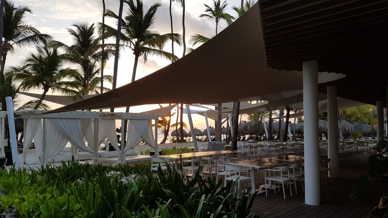 Gastro TRS Turquesa Hotel - Adults only