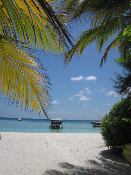 Vom Bungi Summer Island Maldives