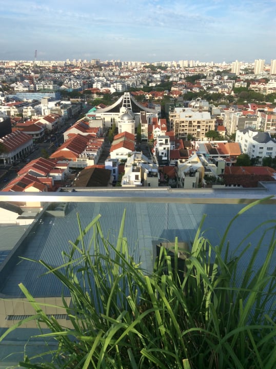 Pool Hotel Indigo Singapore Katong