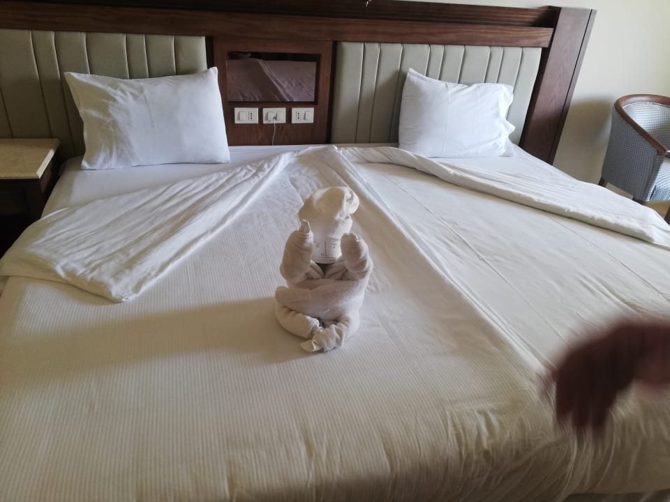 Zimmer Serenity Alpha Beach