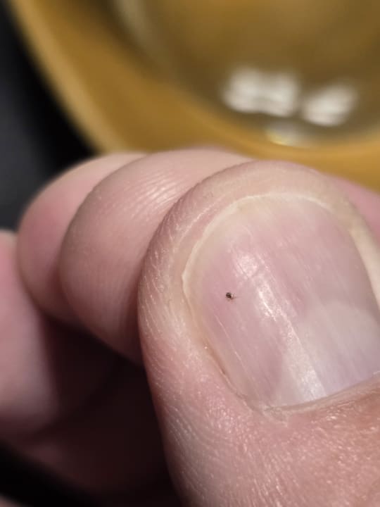 Zimmer Pariya Resort & Villas Koh Phangan