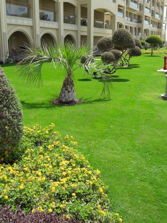 Gartenanlage Pickalbatros White Beach Resort - Hurghada
