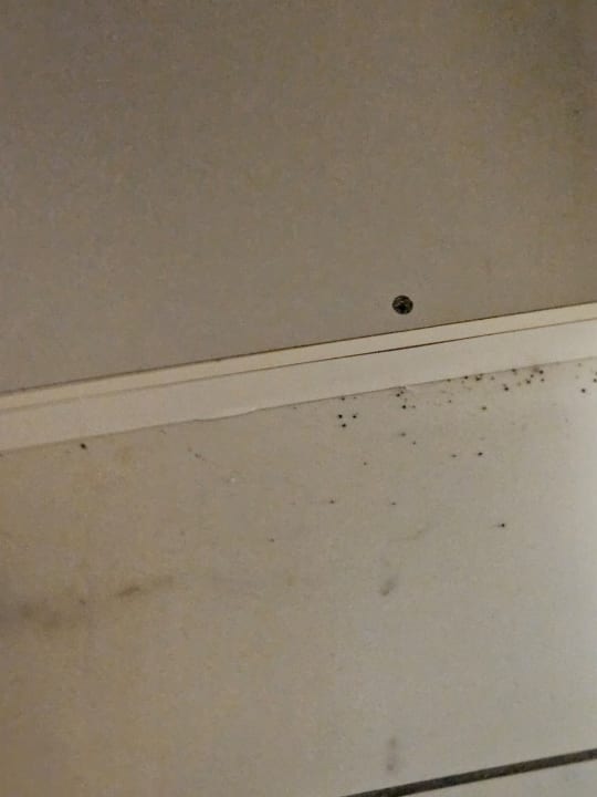 Zimmer Ibiscus Hotel Rhodos