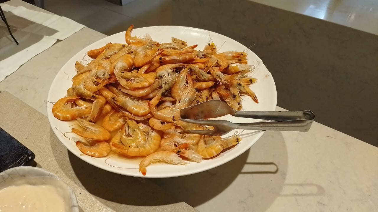 Gastro Hotel Riu Festival