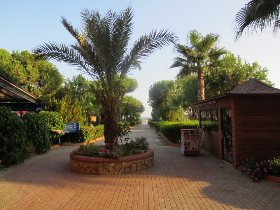 Weg zum Strand Club Turtas Beach Hotel